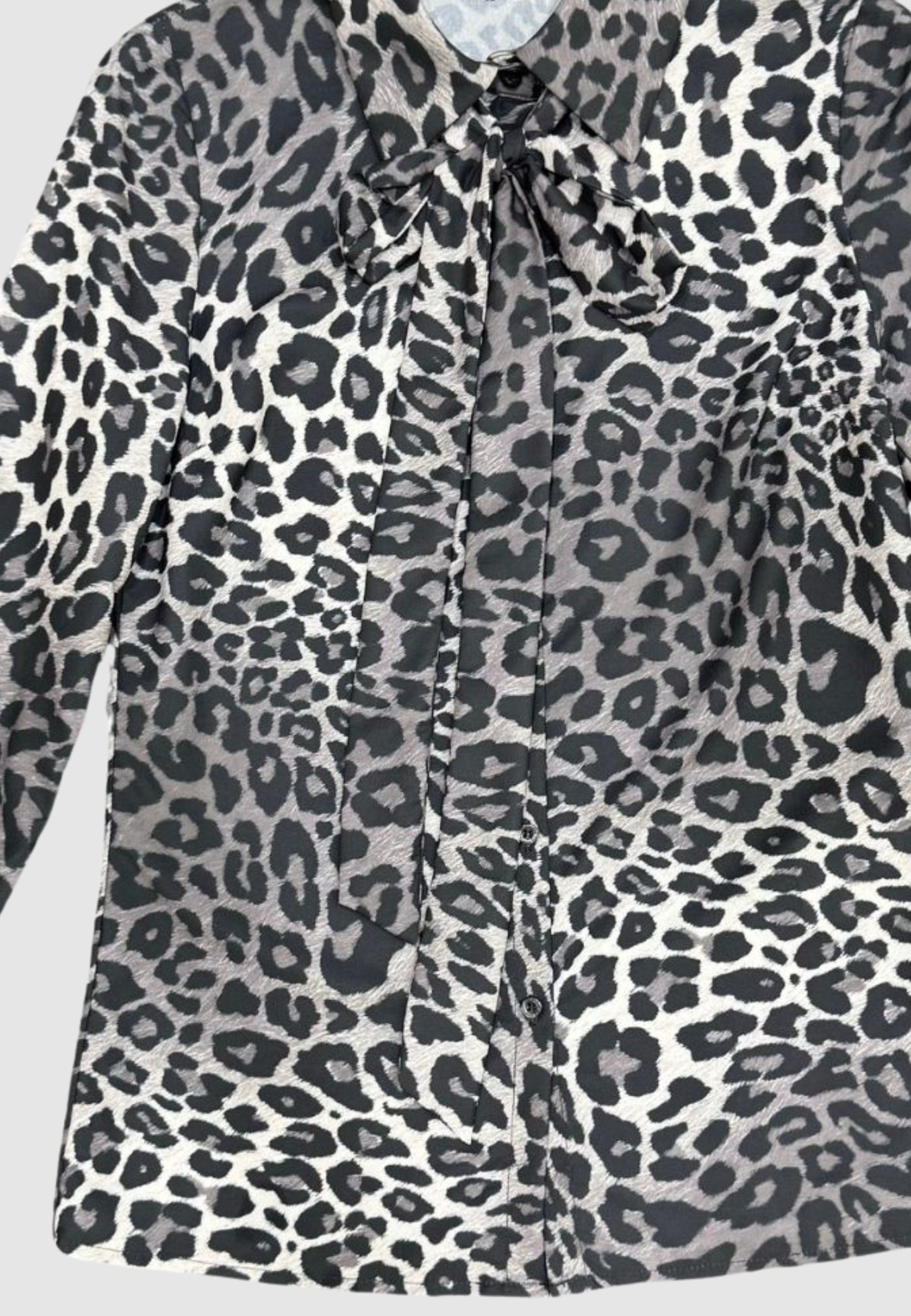 Camicie Gaudì 421FD45001