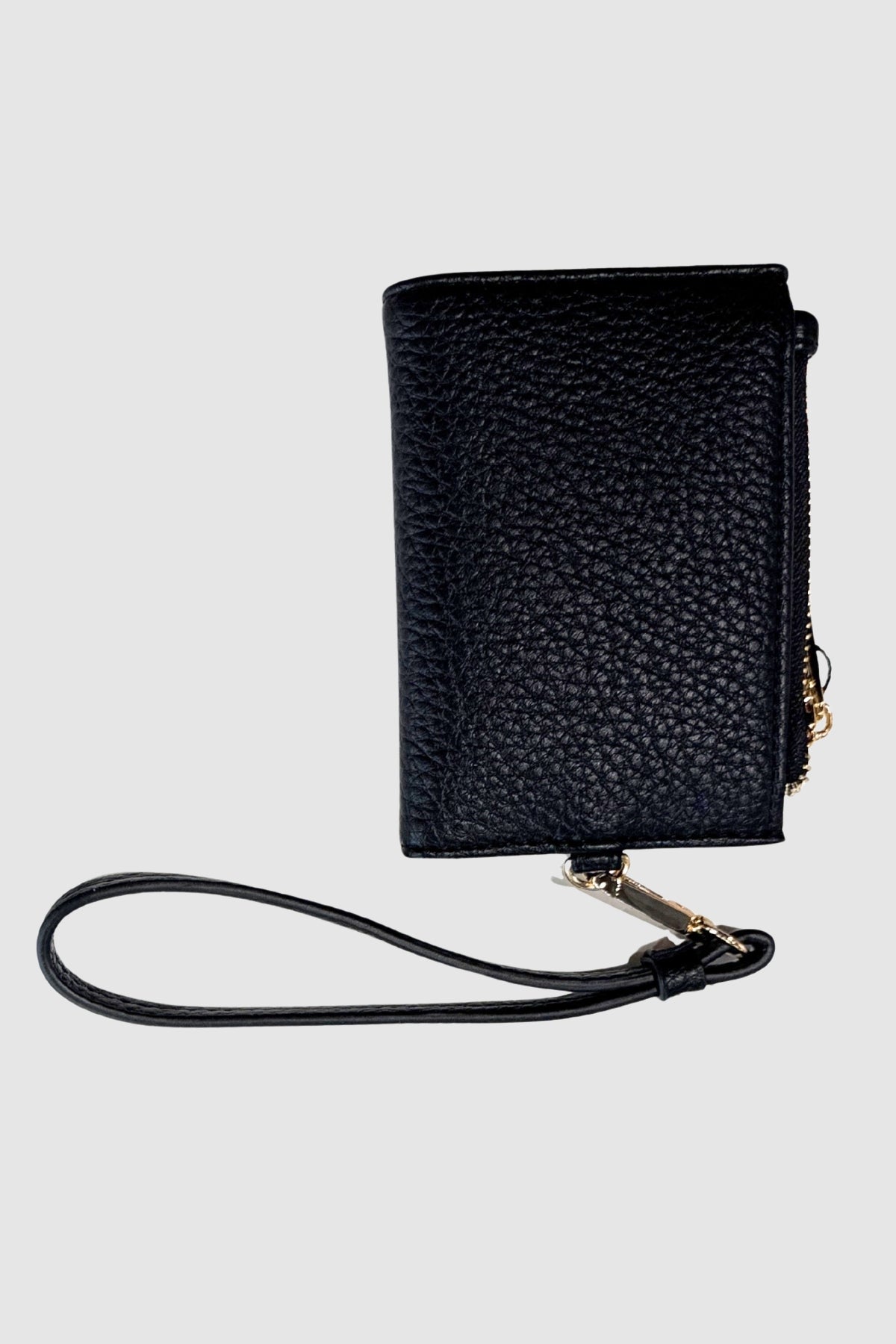 Accessori Gaudi Jeans V5AI-12555