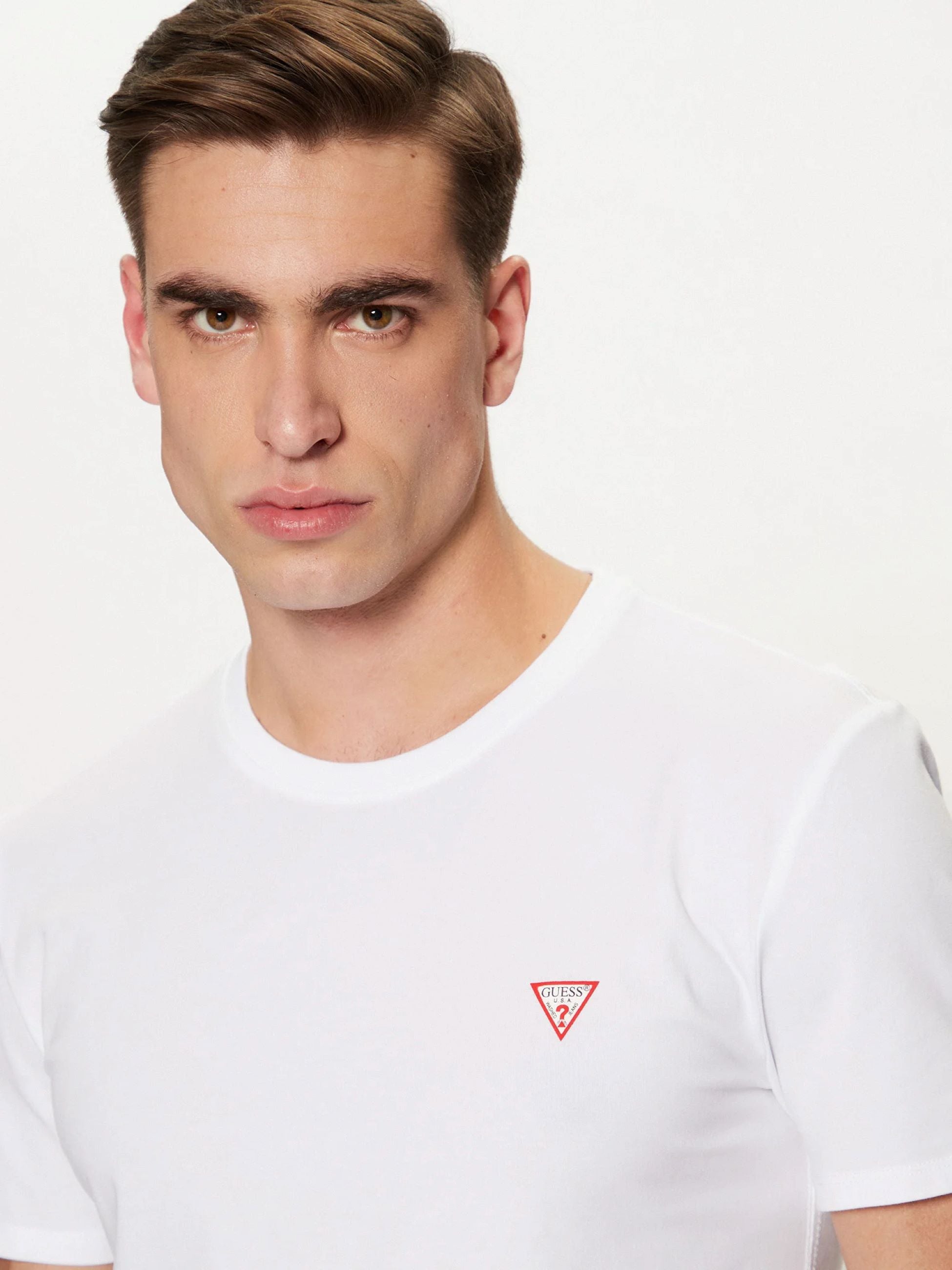 T-Shirt e Polo Guess M2YI24J1314