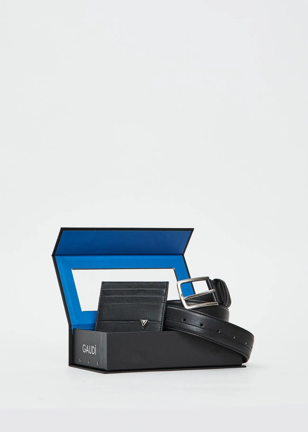 Accessori Gaudi Jeans V5AI-12560