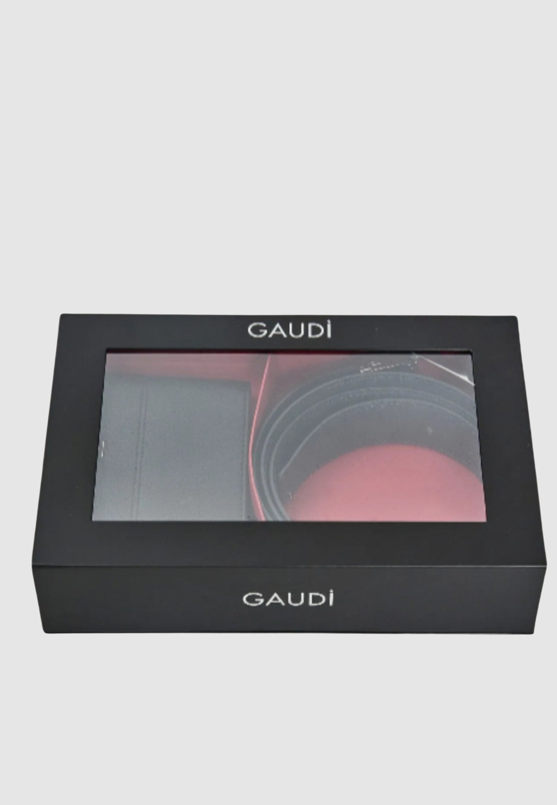 Accessori Gaudi Jeans V5AI-12561