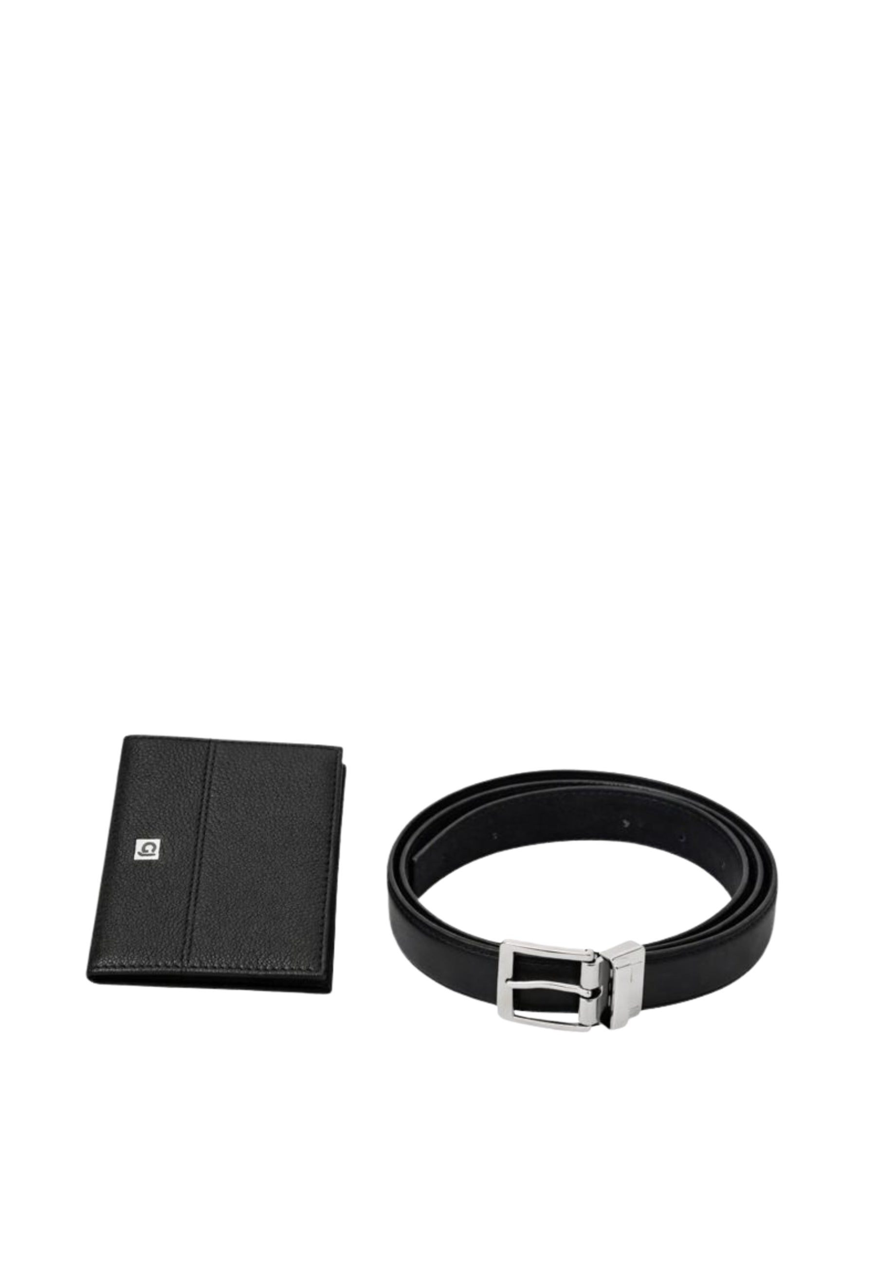 Accessori Gaudi Jeans V5AI-12561