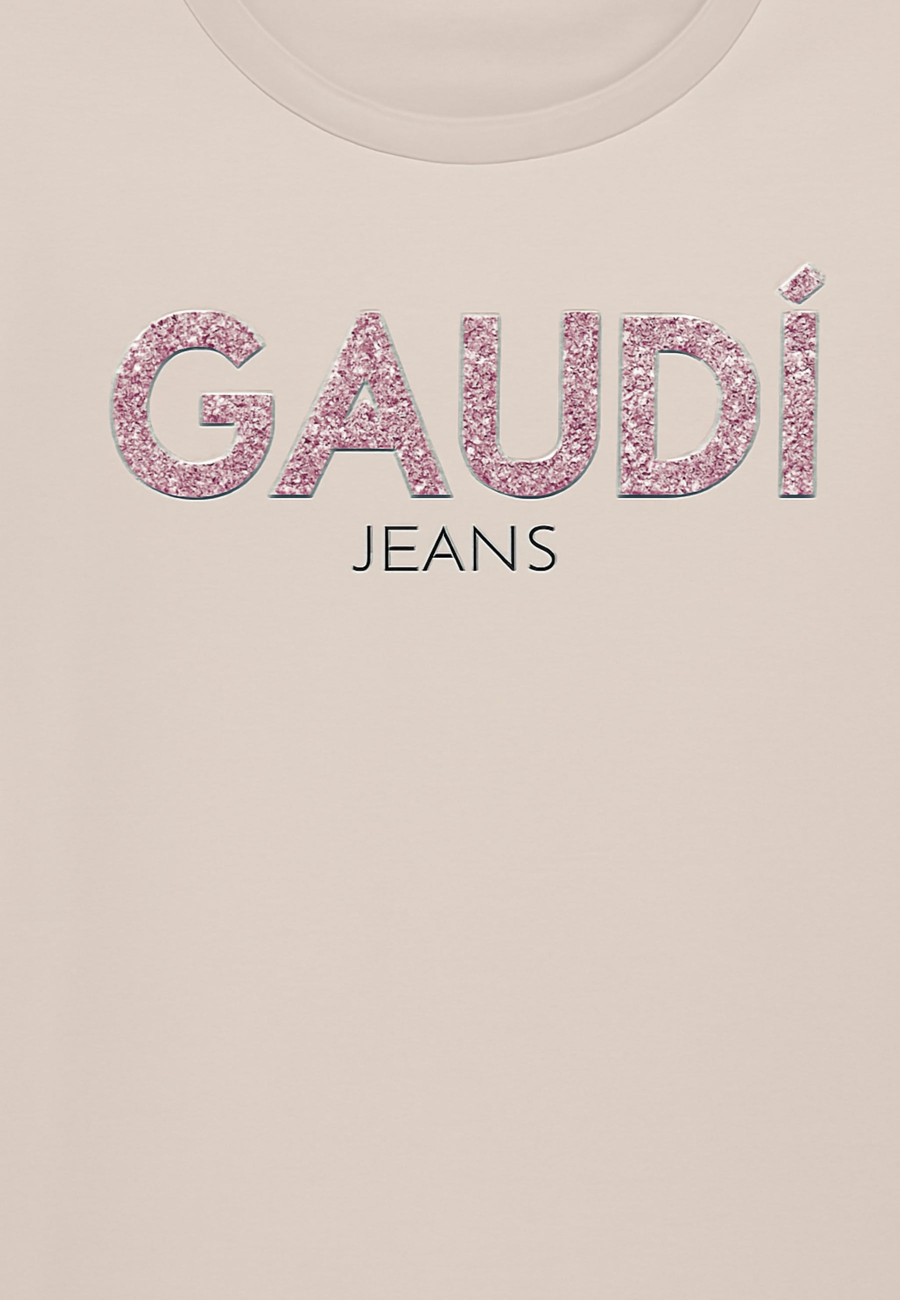 T-Shirt e Polo Gaudi Jeans 521BD64017