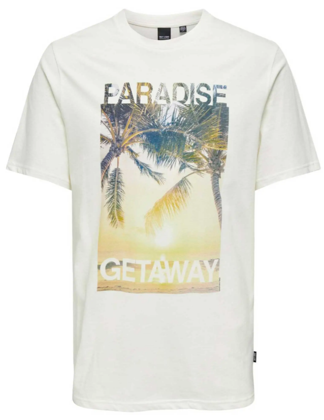 T-Shirt e Polo Only&Sons 22029454