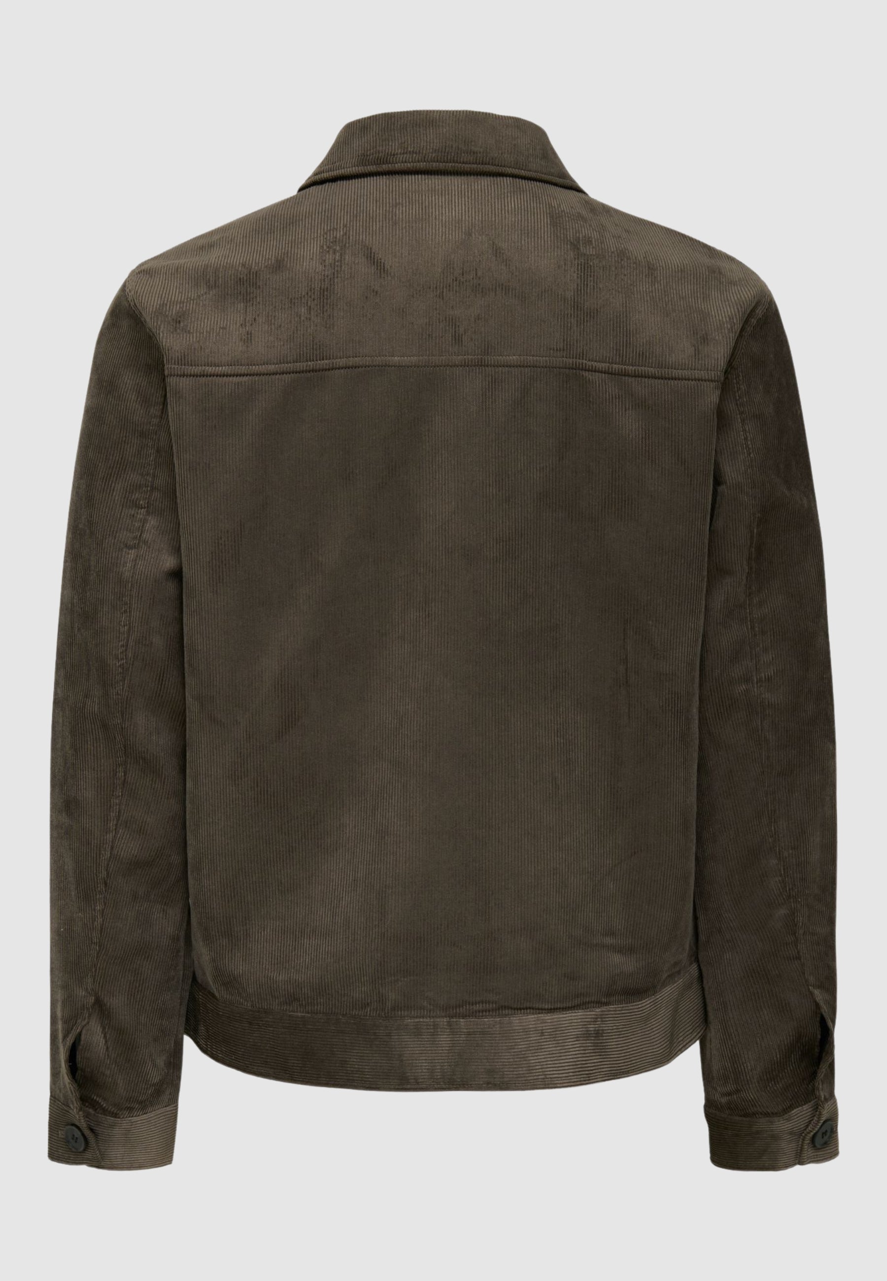 GIACCA Only&Sons 22034882