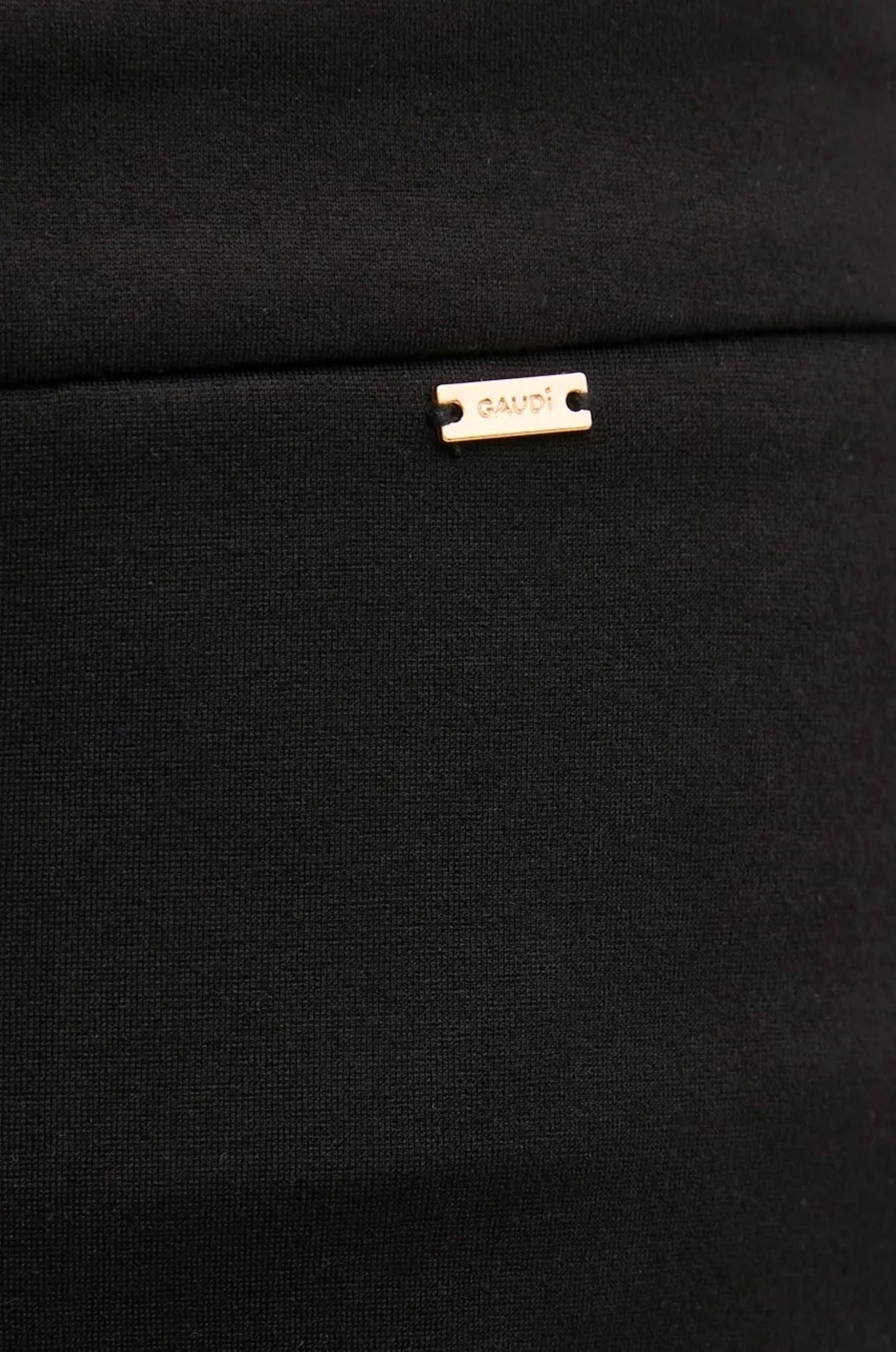 Pantaloni Gaudì 421FD24004