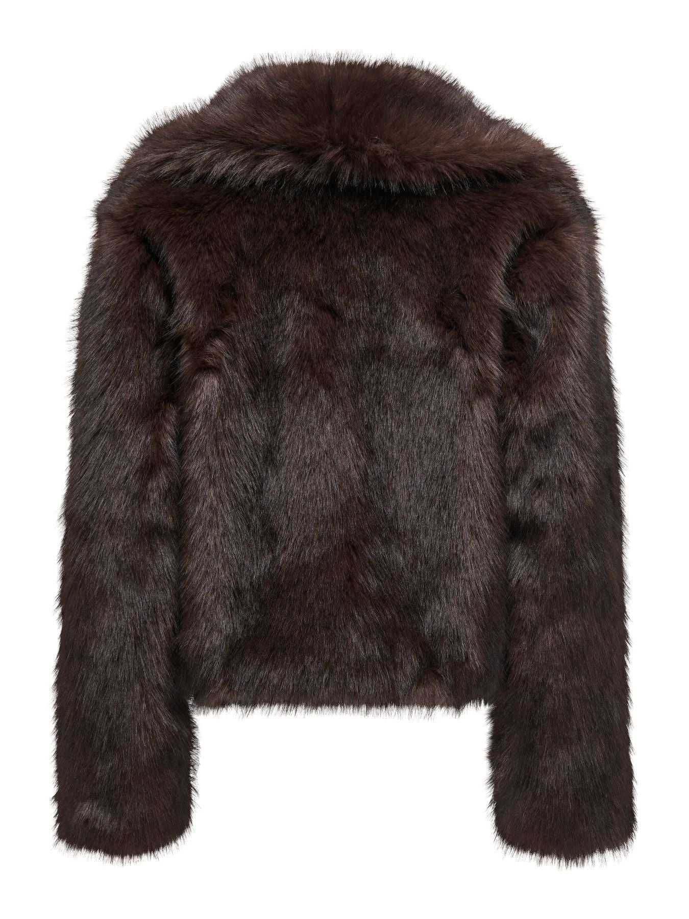 GIACCA Only 15348977