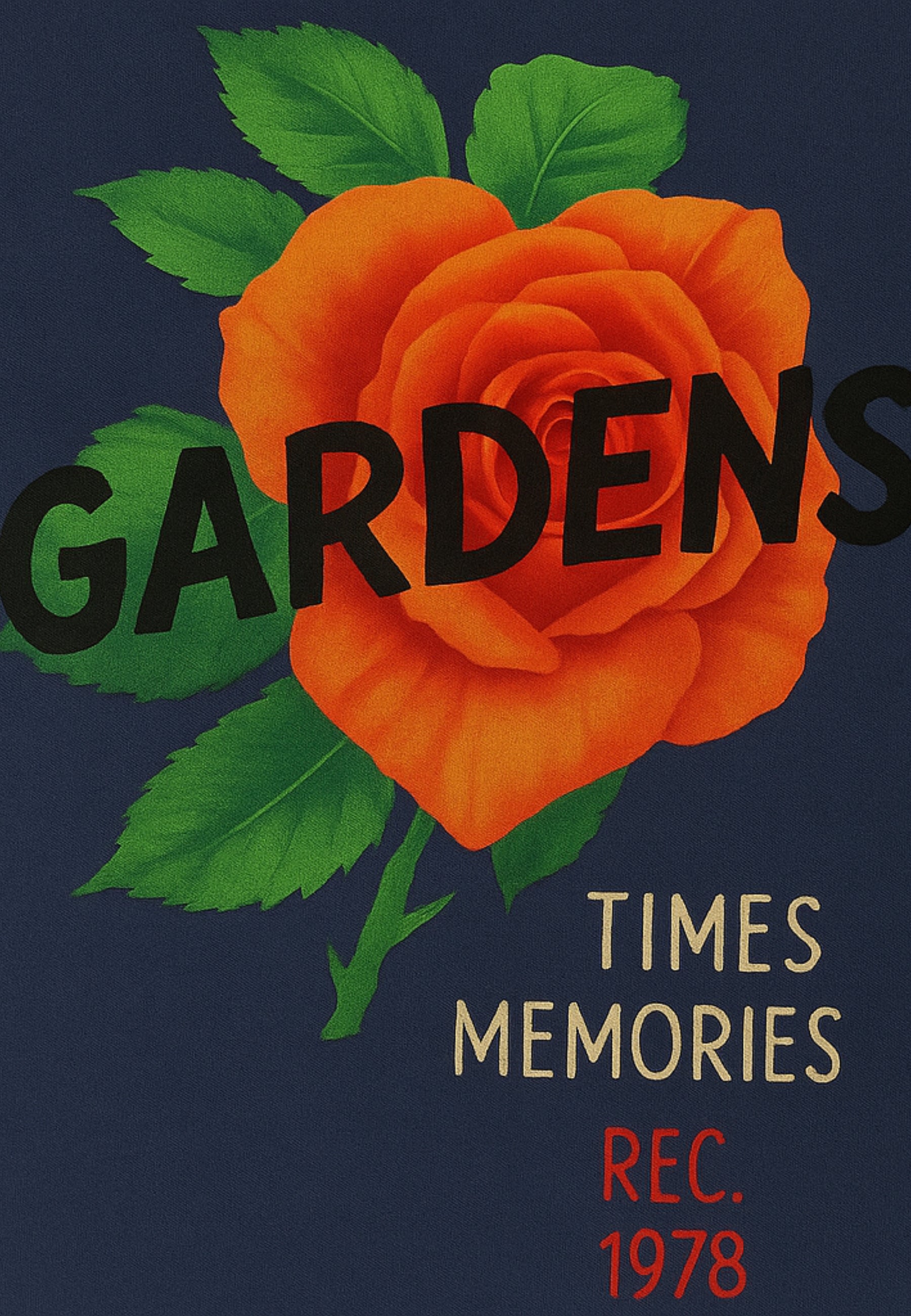 T-Shirt e Polo Gaudì 411GU64082