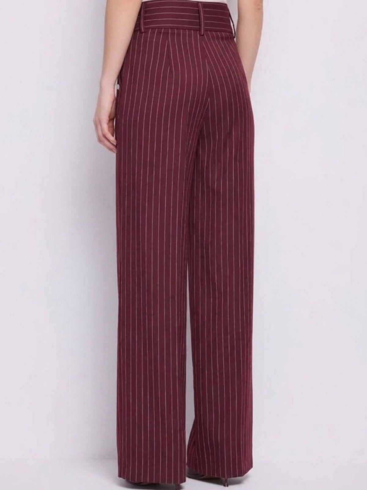 Pantaloni palazzo gessati Gaudì Jeans, bordeaux, indossati, vista posteriore