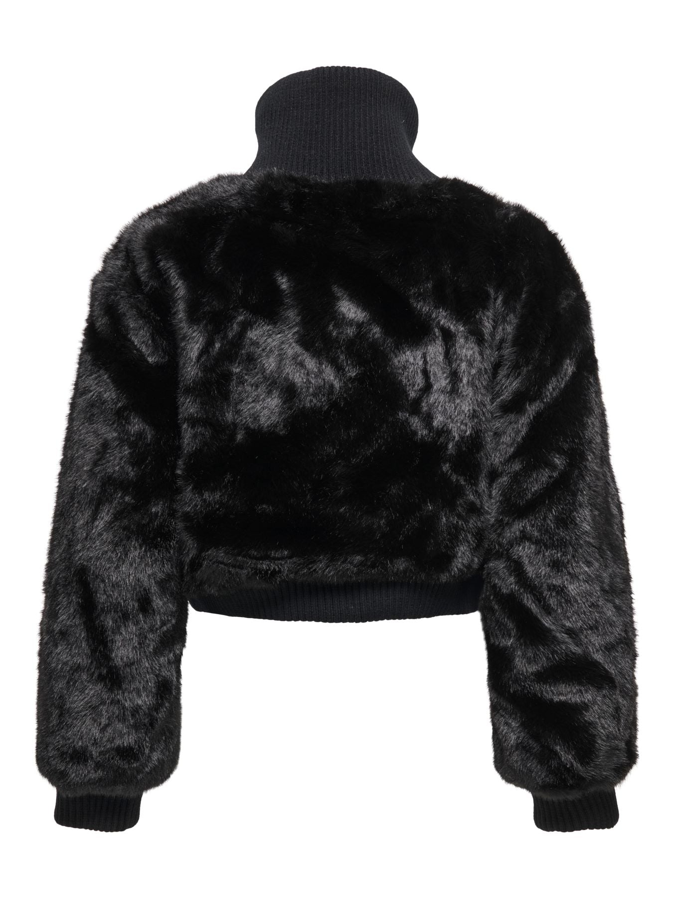 GIACCA Only 15349157