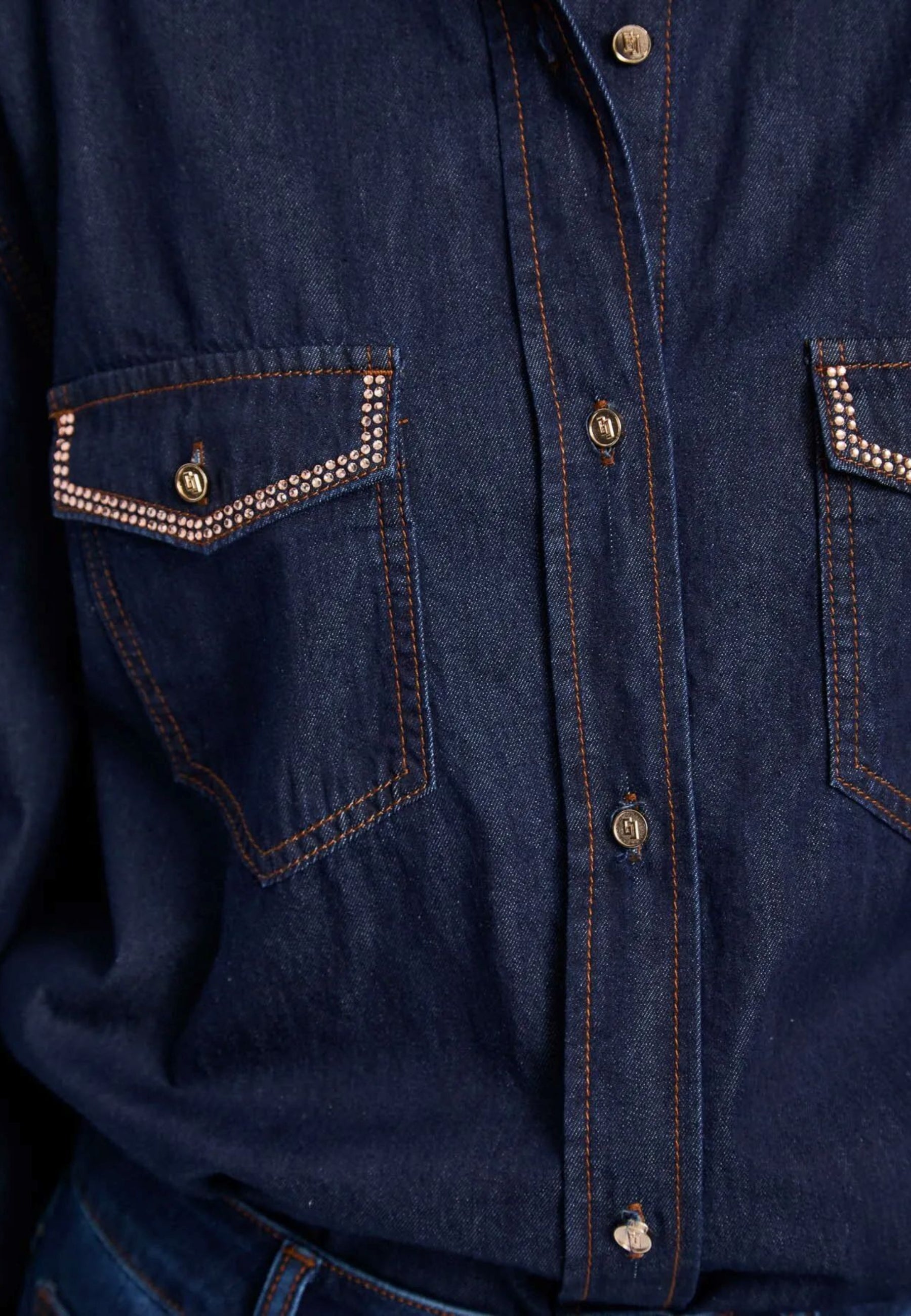 Camicie Gaudi Jeans 521BD46004