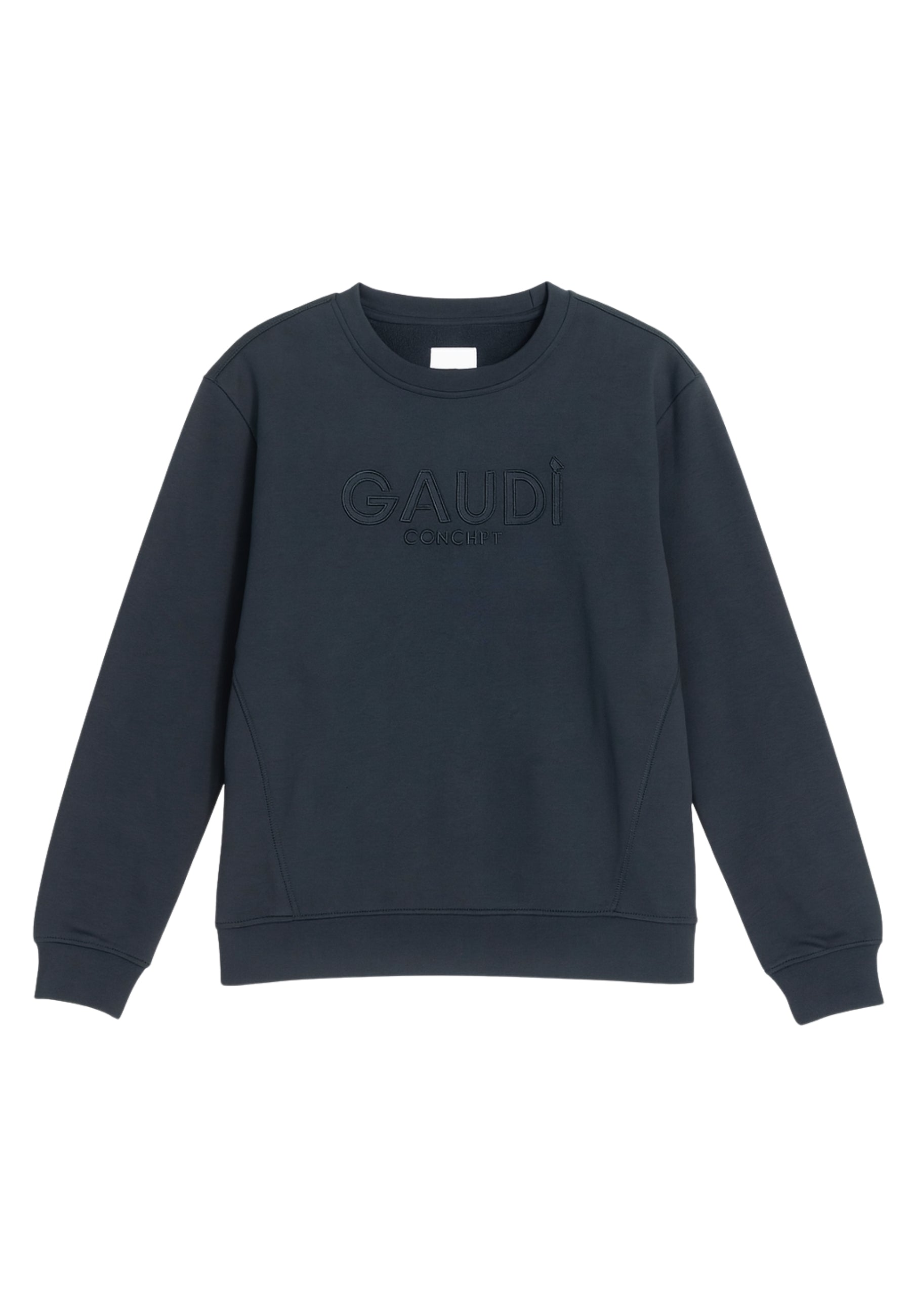 Maglieria Gaudi Jeans 521GU64034